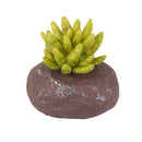 Miniature Resin Green Plant Dollhouse Ornament Craft Fairy DIY Bonsai Decor