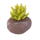 Miniature Resin Green Plant Dollhouse Ornament Craft Fairy DIY Bonsai Decor