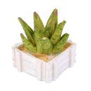 Miniature Resin Green Plant Dollhouse Ornament Craft Fairy DIY Bonsai Decor