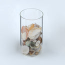 Glass Jar Sealed Can Treat Tea Storage Bottle With Wooden Cork Kitchen Decor