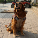 Pet Dog Waterproof Reversible Plaid Jacket Coat Winter Clothes Brown XL
