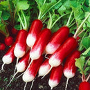 Egrow 100Pcs/Bag Sausage Radish Seeds Juicy And Nutritious Early Spring Radish Delicious Vegetable