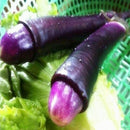 Egrow 100Pcs/Pack Purple Pepper Seeds Home Garden Funny Chili Peppers Vegetables Seasoners Seeds