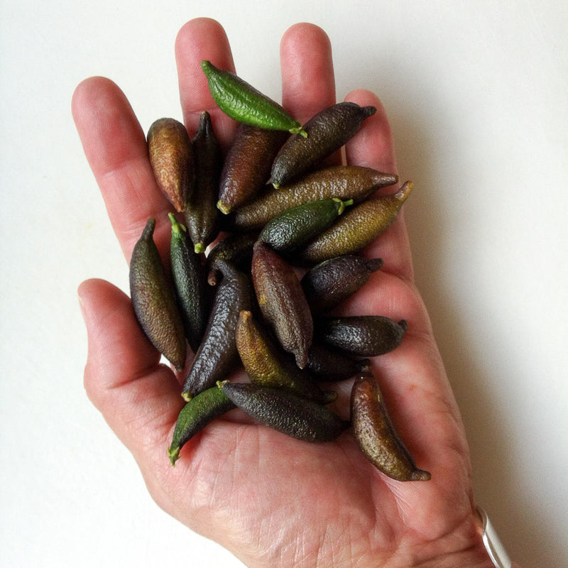 20Pcs Tropical Fruit Seeds Finger Limes Citrus Pomegranate Seeds Home Garden Balcony Rare Plants