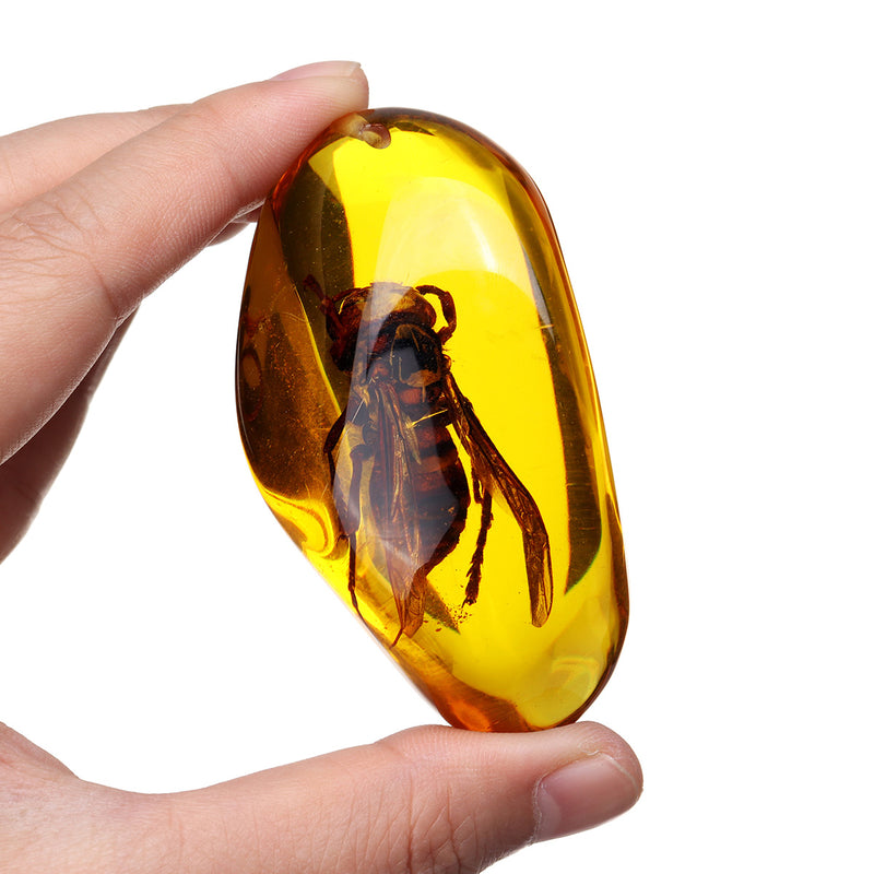Beautiful Amber Hornet Petrifaction Insects Manual Polishing Insect Specimens Home Decorations