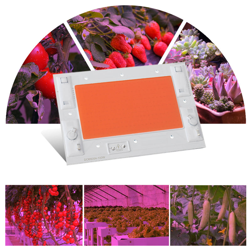 LUSTREON 50W 100W Full Spectrum 380-840NM Thunder Protection COB Grow Light LED Chip AC220-240V