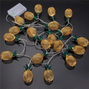 Battery Powered 2.3M 20LEDs Warm White Pineapple Shaped Outdoor Lanterns String Lights For Holidays