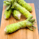 Egrow 300Pcs/Pack Wasabi Seeds Mustard Horseradish Wasabi Vegetable Home Gardening Planting For Perennials Hardy