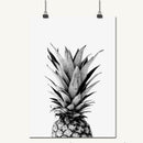 2pcs / set Northern Europe Gray Pineapple Letters (Be Wild and Free)Creativ X3Q7
