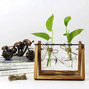 Creative bulb vase plant glass hydroponic container farm decoration wooden