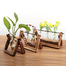 Creative bulb vase plant glass hydroponic container farm decoration wooden