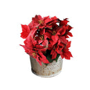 Country retro old metal flower bucket flower creative home desktop decorati