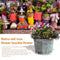 Country retro old metal flower bucket flower creative home desktop decorati