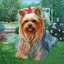 5d diy diamond painting cross stitch Diamond embroidery dog animal cartoon