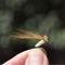 ZANLURE 40Pcs Boxed Colorful Bionic Fly Fishing Hook Bionic Lure Set Anti Insects Flies ABS Box