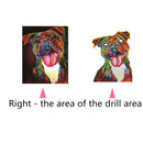 5D round diamond Painting diamond Embroidery "Colorful dog" Diamond Paintin D9I4