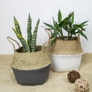 Rattan Basket Straw Basket Garden Foldable Flower Pot Hanging Wicker Storag U5E4