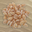 50pcs Shell Beads for Women jewelry Bracelet Necklace Earring Making DIY Gi