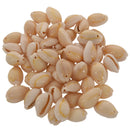 50pcs Shell Beads for Women jewelry Bracelet Necklace Earring Making DIY Gi
