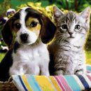 DIY 5D Diamond Diamond Painting Photo Custom "dog and cat" Embroidery Cross