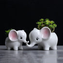 Animals Shape Ceramic Flower Pot Elephant Succulent Planter Cactus Succulen L3F7