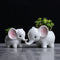 Animals Shape Ceramic Flower Pot Elephant Succulent Planter Cactus Succulen