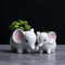 Animals Shape Ceramic Flower Pot Elephant Succulent Planter Cactus Succulen