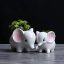Animals Shape Ceramic Flower Pot Elephant Succulent Planter Cactus Succulen L3F7