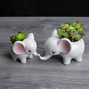 Animals Shape Ceramic Flower Pot Elephant Succulent Planter Cactus Succulen