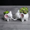 Animals Shape Ceramic Flower Pot Elephant Succulent Planter Cactus Succulen