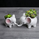 Animals Shape Ceramic Flower Pot Elephant Succulent Planter Cactus Succulen L3F7