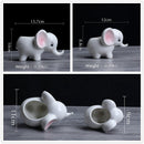 Animals Shape Ceramic Flower Pot Elephant Succulent Planter Cactus Succulen L3F7