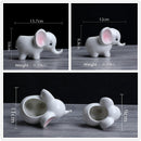 Animals Shape Ceramic Flower Pot Elephant Succulent Planter Cactus Succulen