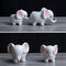Animals Shape Ceramic Flower Pot Elephant Succulent Planter Cactus Succulen