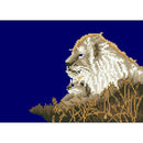 Full round drill diamond embroidery sunset Lion 5D DIY diamond painting Cro