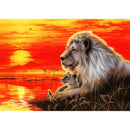 Full round drill diamond embroidery sunset Lion 5D DIY diamond painting Cro