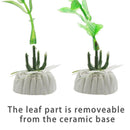 10 Pack Artificial Aquarium Plants, 10cm Height Fish Tank Decorations Home DC4V3