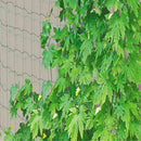 Garden Green Nylon Trellis Netting Support Climbing Plant Nets Grow Fence V2V7