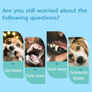1 Pcs Pet Toothbrush Addition Bad Breath Tartar Teeth Care Dog Cat Cleaning U8U4