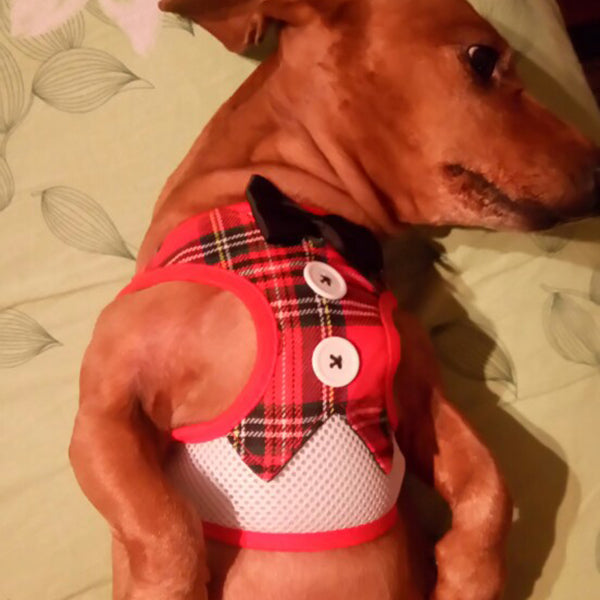 Dog Vest Pet Dog Harness Leash Set for Small Medium Dogs Bow Tie Formal Dre M9H6