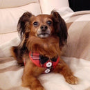 Dog Vest Pet Dog Harness Leash Set for Small Medium Dogs Bow Tie Formal Dre M9H6