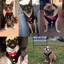 Dog Vest Pet Dog Harness Leash Set for Small Medium Dogs Bow Tie Formal Dre M9H6