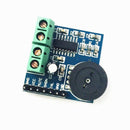 PAM8403 Two Channel Dual Track Audio Power Amplifier Module 5V 3W2 Z6D6
