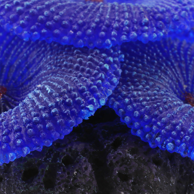 Artificial Aquarium Fish Tank Decoration Coral Sea Plant Ornament Silicone  N8F1