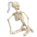 Creepy Human Skeleton Skull Figurine Scary Halloween Skeleton Prop Party Decorations