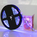 5M UV SMD2835 395-405NM Purple 300 LED Non-Waterproof Strip Light Kit + Connector + Power Supply 12V