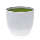 Mini  pine - Artificial topiary mini tree with melamine pot for deco U5T6