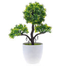 Mini  pine - Artificial topiary mini tree with melamine pot for deco U5T6