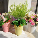 Plastic lace vase flowerpot factory pot home office decoration accessories- U6P9