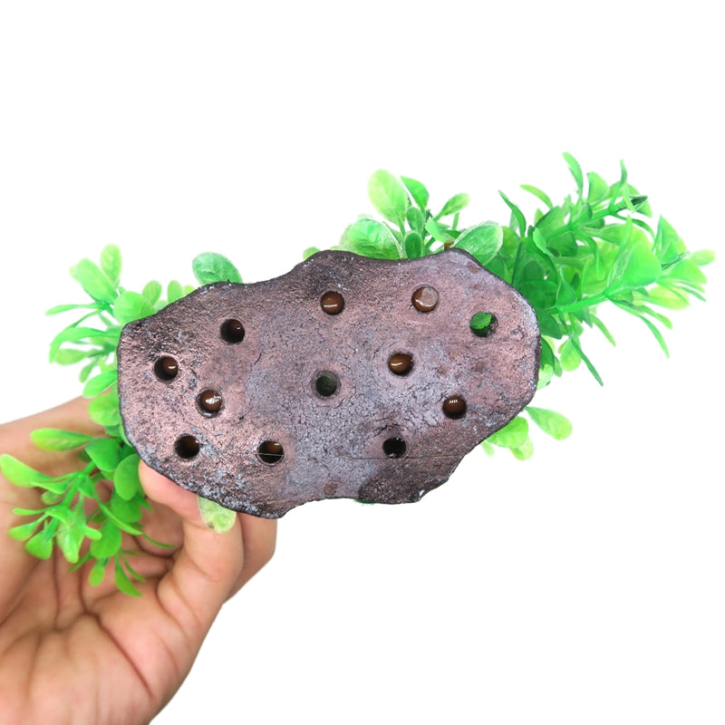 Curve Artificial Plastic Water Plant Decor For Fish Tank Ornament Circular